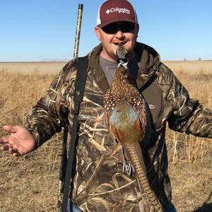 Meet your Posher, Cole